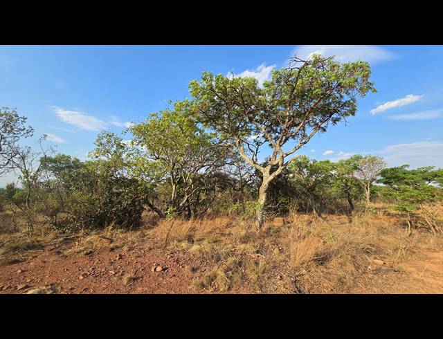 2,500M² VACANT LAND FOR SALE IN VERLOREN ESTATE